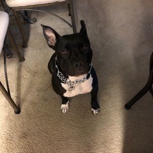 Meet your Posher, Omar